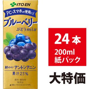 伊藤園 - 伊藤園  ザクロmix  200ml紙パック24本×２セット　ザクロジュース 伊藤園 ザクロミックス 200ml 12本入 紙パック ザクロジュース