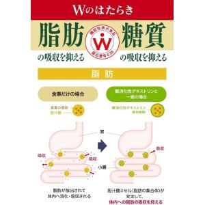 サントリー 伊右衛門 おいしい糖質対策 500...の詳細画像2