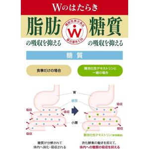 サントリー 伊右衛門 おいしい糖質対策 500...の詳細画像3