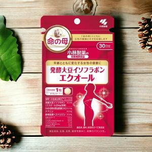小林製薬 - 【13日まで値下げ】エクオールα プラス美容サポート 30日分(60粒入)×4袋 小林製薬 エクオールαプラス 美容サポート 15g（250mg×60粒