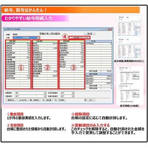 MJSかんたん!給与10の詳細画像1