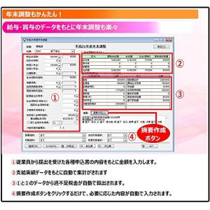 MJSかんたん!給与10の詳細画像2