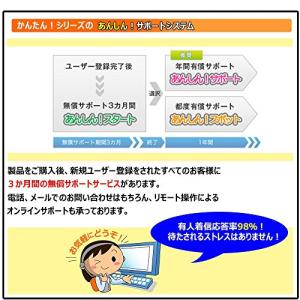 MJSかんたん!給与10の詳細画像5