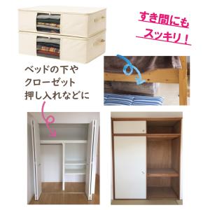 衣類 収納ケース ソフトタイプ 2枚組 衣類収...の詳細画像3