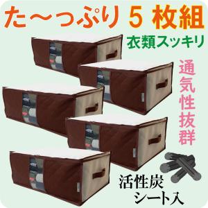 収納ケース 衣装ケース 収納袋 5枚組 炭シート入り 収納 収納ボックス 衣類 大掃除 大容量 おしゃれ 折りたたみ