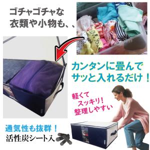 衣類収納袋 収納袋 衣類収納 4枚組 前面 活...の詳細画像2