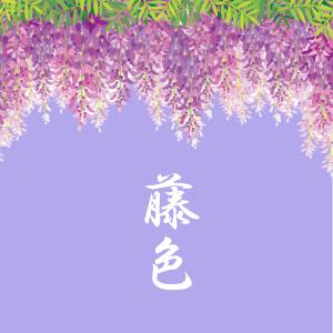 衣類収納袋 4枚組 前面 活性炭シート入 収納...の詳細画像4