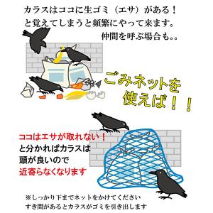 カラスよけネット ゴミネット おもり入り 三角...の詳細画像3