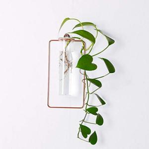 BAOYOUNI 壁掛け 花瓶 ミニ花器 ガラス製 透明 フラワーベース 一輪挿し 水栽培 試験管 ガラス管 ミニ 一輪挿し