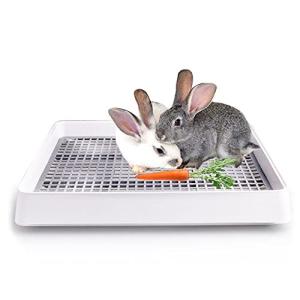 うさぎ トイレ 大きいの商品一覧 通販 Yahoo ショッピング