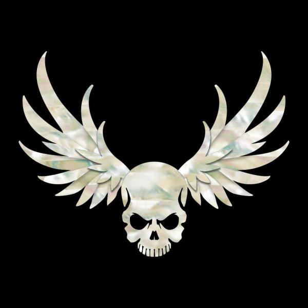 Jockomo Wing-Skull ウイング・スカル/WP ギターやベースのボディに。 本物の貝み...