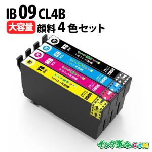 IB09CL4B 大容量 顔料4色セット プリンターインク EPSON IB09 シリーズ 互換インクカートリッジ