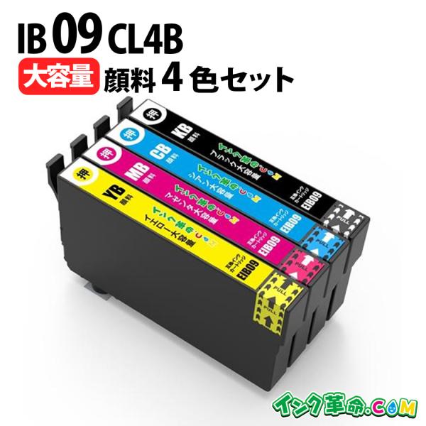 IB09CL4B 大容量 顔料4色セット プリンターインク EPSON IB09 シリーズ 互換イン...