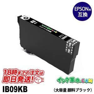 IB09KB 大容量 顔料ブラック プリンターインク EPSON IB09 シリーズ 互換インクカートリッジ｜ink-revolution