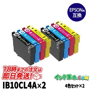 エプソン インク IB10CL4A 2パックセット プリンターインク EPSON IB10 シリーズ 互換インクカートリッジ 18時まで 即日配送｜ink-revolution