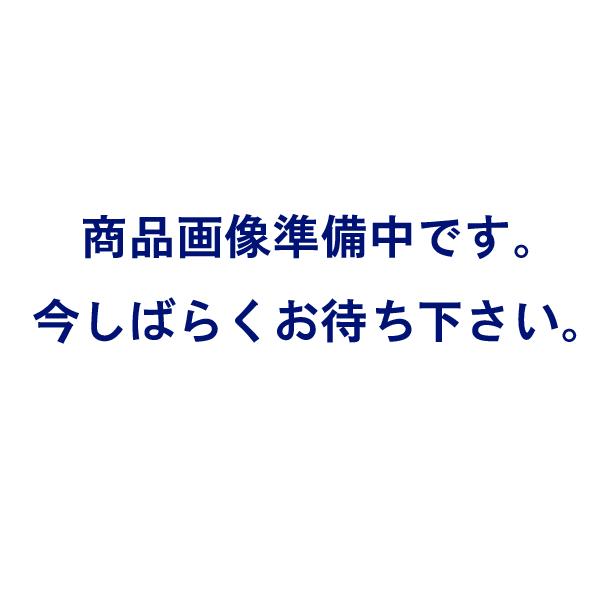 BOXER-B・仕切板Mタテ用（T1.5xW268xH48mm）(Sanby・BPW-268（-）)
