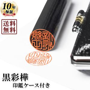 maruman（マルマン） ダブロック メタルバインダー A4 30穴 黒 F949R