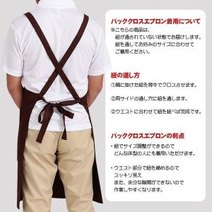 胸当てエプロン 三角巾 2点セット ユニセック...の詳細画像2