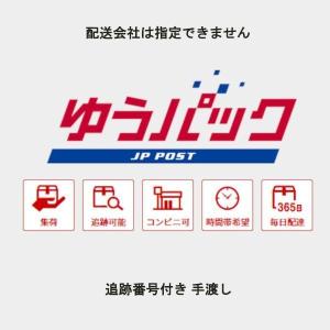 50ml セット 計量用 注入用 注射器 シリ...の詳細画像5