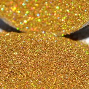 ラメパウダー ラメグリッター ゴールド 5g ラメフレーク ケース入り