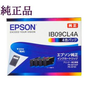エプソン（EPSON） 純正インク IB09 インクカートリッジ 大容量 4色