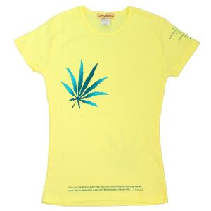 Tシャツ 半袖 レディース サックスグラデ柄 ...の詳細画像3