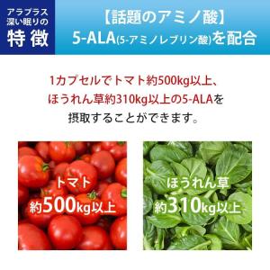 SBIファーマ アラプラス 深い眠り 30CPの詳細画像4