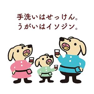 シオノギヘルスケア イソジンうがい薬C 480...の詳細画像2