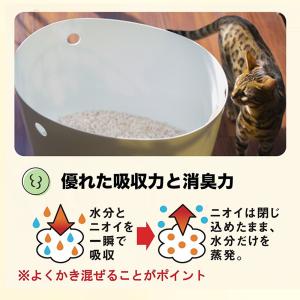 ラヴィートワレx8(3.3L:1ヶ月分)シリカ...の詳細画像4