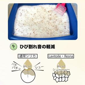ラヴィートワレx8(3.3L:1ヶ月分)シリカ...の詳細画像5