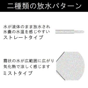 氷嚢 氷のう スプレー ベルト 霧吹き ゴルフ...の詳細画像4