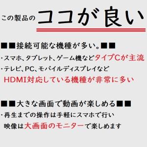 DP Alt Mode対応 ミラーリング ケー...の詳細画像4