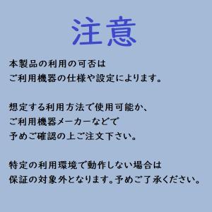 DP Alt Mode対応 ミラーリング ケー...の詳細画像5