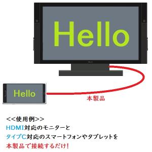 DP Alt Mode対応 ミラーリング ケー...の詳細画像3