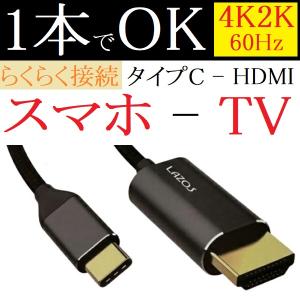 DP Alt Mode対応 ミラーリング ケー...の詳細画像2
