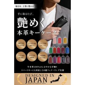 キーケース スマートキー カードキー パスケー...の詳細画像1