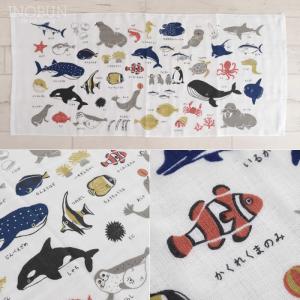 ずかんタオル ミニバスタオル 47 x 100...の詳細画像3