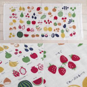 ずかんタオル ミニバスタオル 47 x 100...の詳細画像3