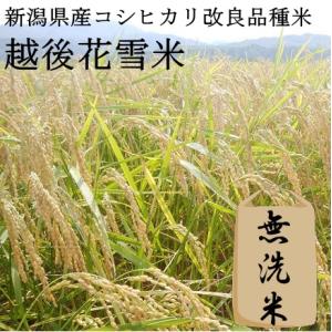 【2024年新米、産地直送】越後花雪米 無洗米5kg（コシヒカリ改良品種　新潟県新潟市、東蒲原産）【...