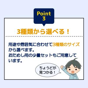 さび 砂利 選べる3種類 10kg 【10kg...の詳細画像4
