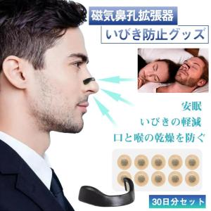 いびき防止グッズ マグネットノーズバンド 磁石 鼻腔拡張 鼻詰まり解消 安眠グッズ 簡単装着 ノーズクリップ 鼻呼吸クリップ 口呼吸防止 気テープ
