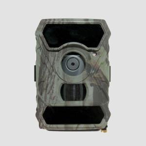 イノシシ シカ アライグマ ハクビシン センサーカメラ