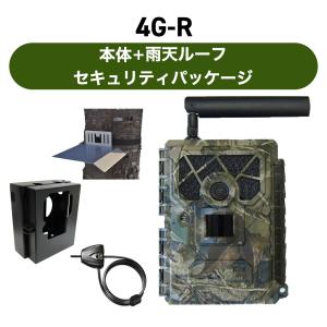 SONY DCR-PC101 デジタルビデオカメラ miniDV 【中古品】 : サンクス