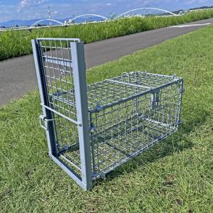 箱罠・くくり罠のイノホイ inohoi - Yahoo!ショッピング