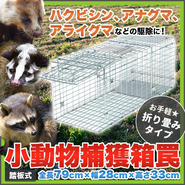 ハクビシン アナグマ アライグマ駆除 対策に効果あり お手軽 折り畳みタイプ ミディアムサイズ 全長...