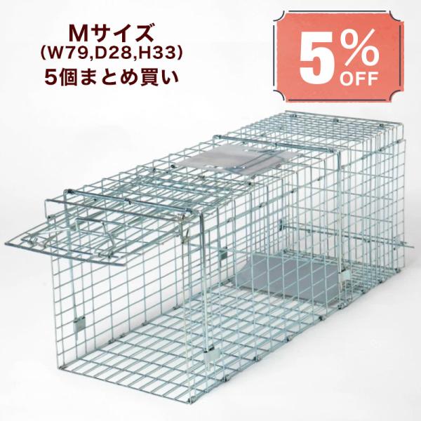 ハクビシン アナグマ アライグマ駆除 対策に効果あり 5台セットで5％割引 折り畳みタイプ ミディア...