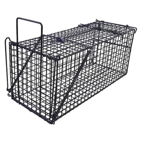 4582193313960 アニマルキャッチャー Ｍ シンセイ 釣り餌式箱罠 アライグマ アナグマ ...