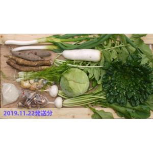 新鮮!出荷日収穫!鳥取より 自然栽培の野菜セッ...の詳細画像1