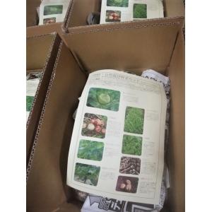 新鮮!出荷日収穫!鳥取より 自然栽培の野菜セッ...の詳細画像2