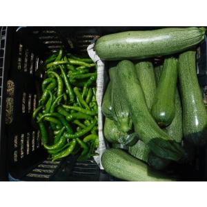 新鮮!出荷日収穫!鳥取より 自然栽培の野菜セッ...の詳細画像5